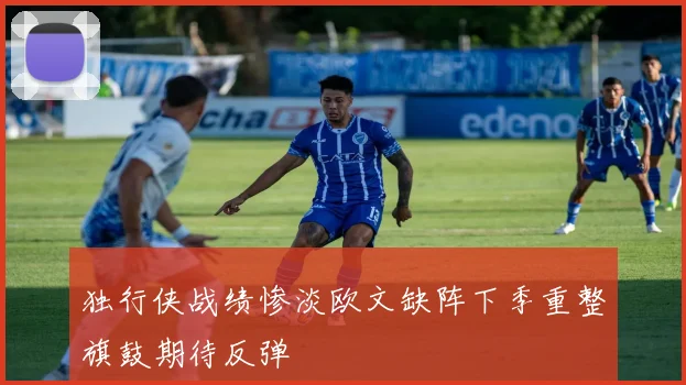 独行侠战绩惨淡欧文缺阵下季重整旗鼓期待反弹