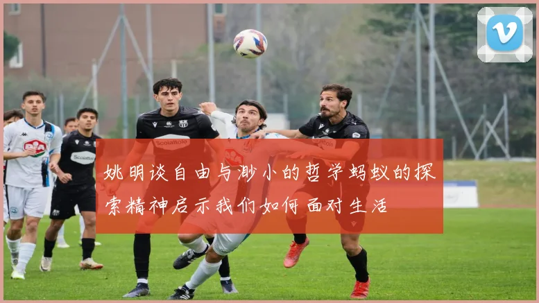 姚明谈自由与渺小的哲学蚂蚁的探索精神启示我们如何面对生活