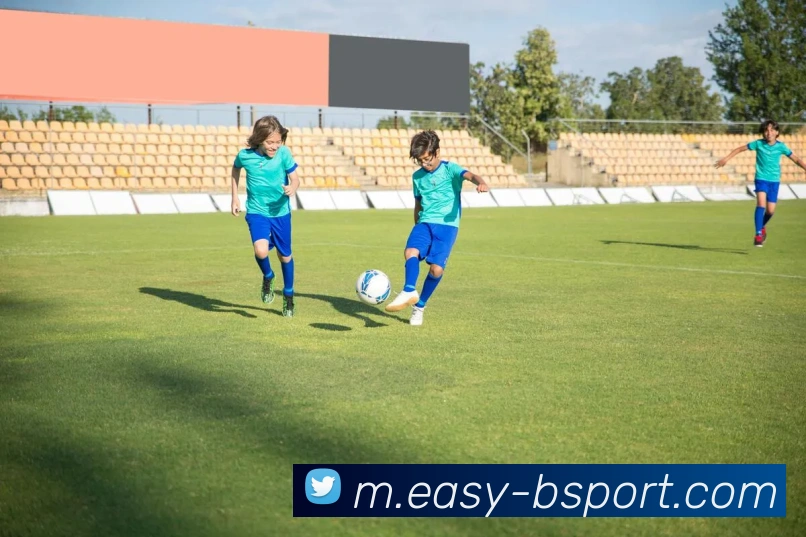 B体育APP 封面图